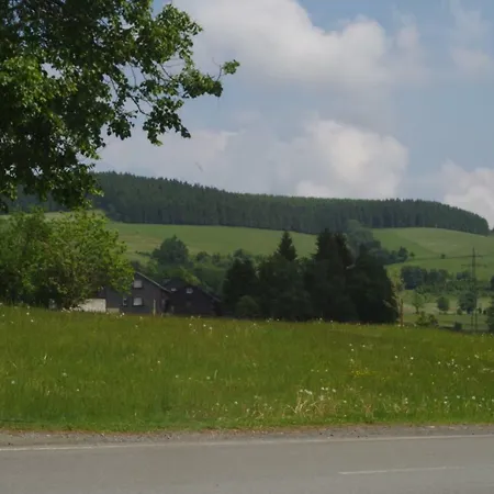 Das Gelbe Haus 3 Appartamento Winterberg